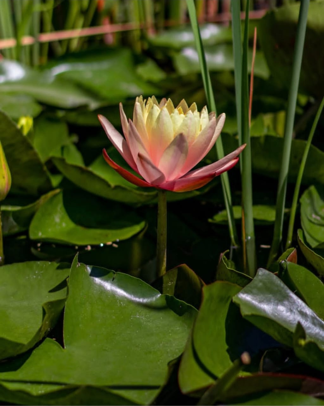 3 20260322 143048 0001