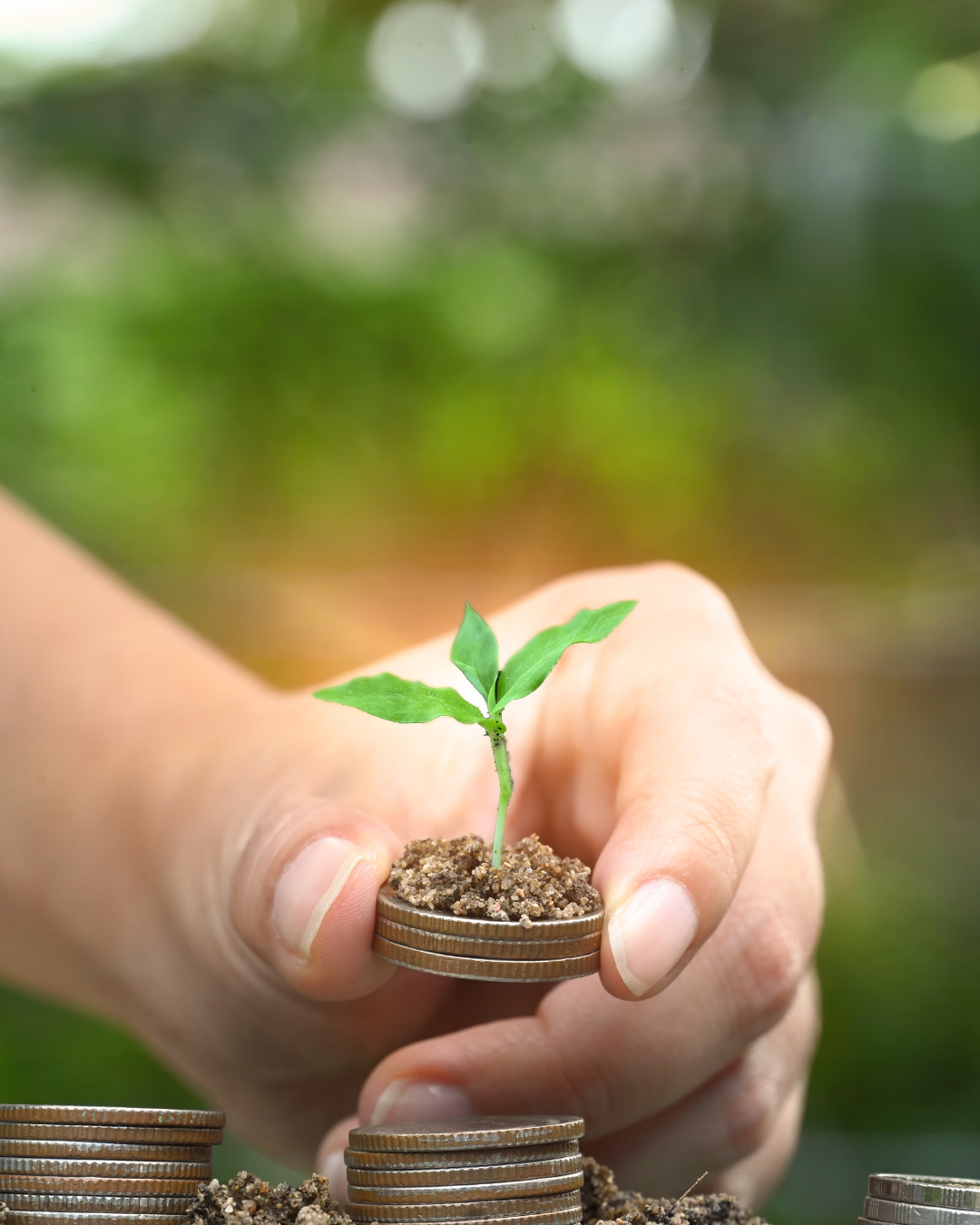 5 20260322 143048 0003